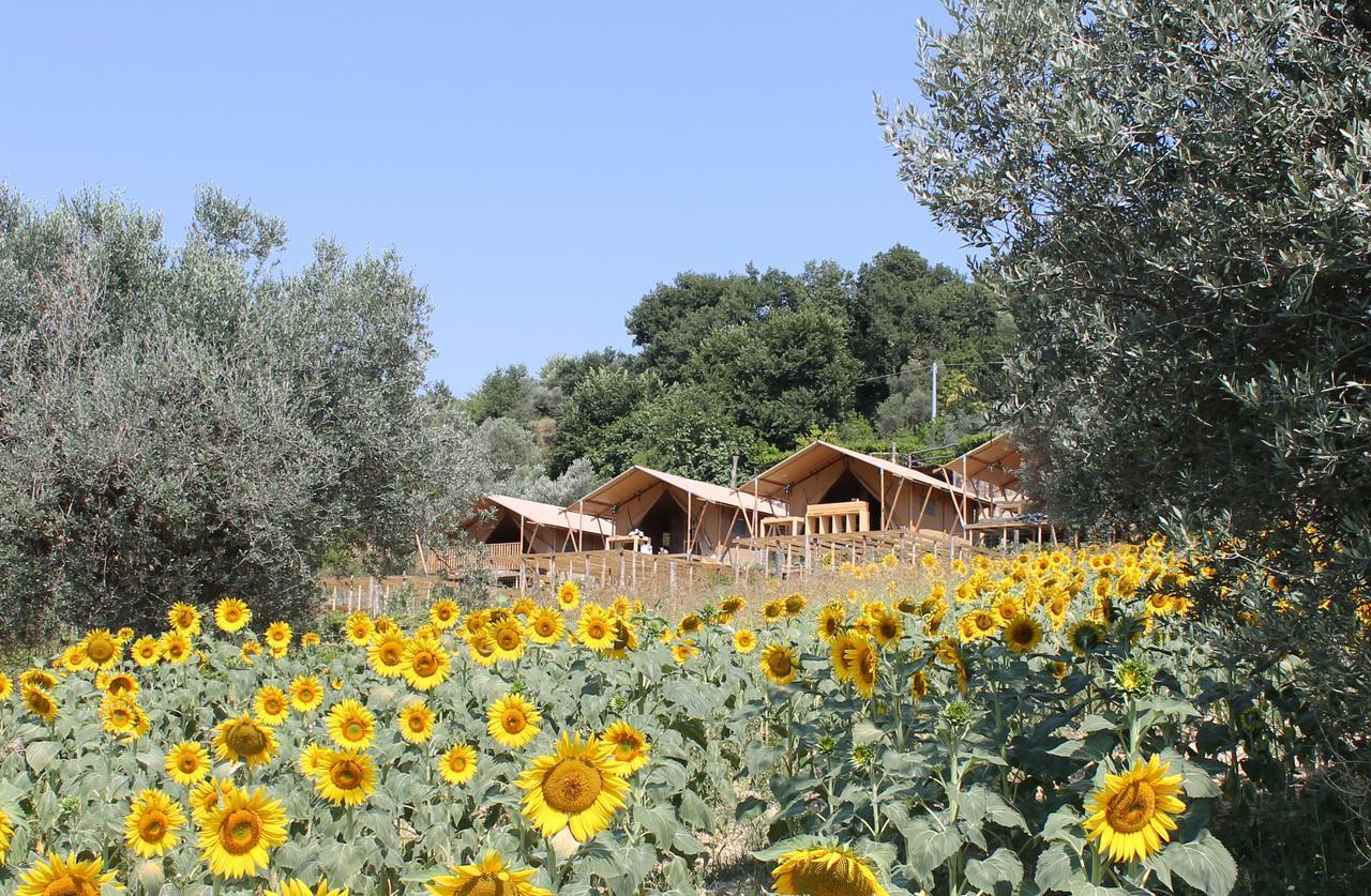 Il Girasole Country Village Massignano Exteriér fotografie